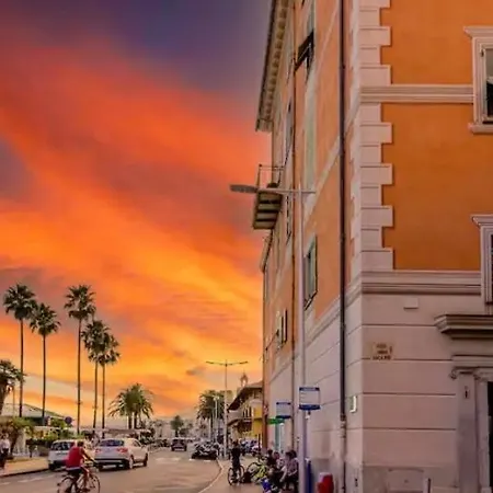 Perle De * مينتون